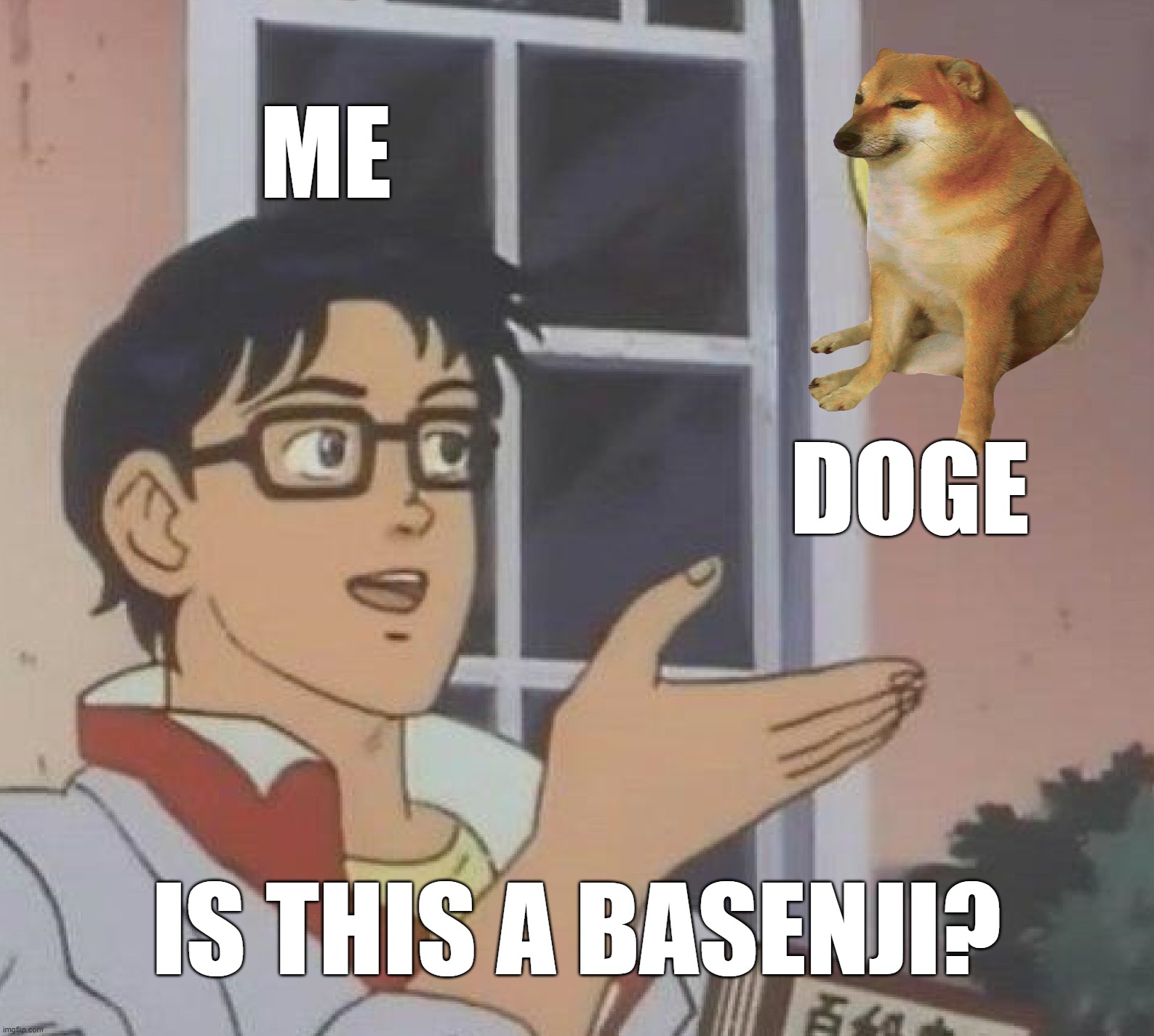 Is This A Pigeon Meme | me; doge; is this a basenji? | image tagged in memes,is this a pigeon | made w/ Imgflip meme maker