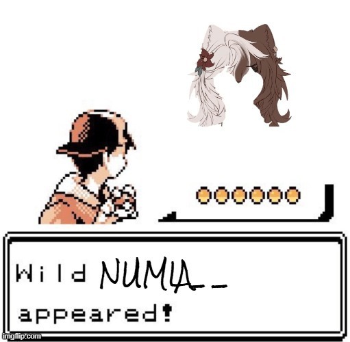 Wild numia__ appears.gif | image tagged in wild numia__ appears gif | made w/ Imgflip meme maker
