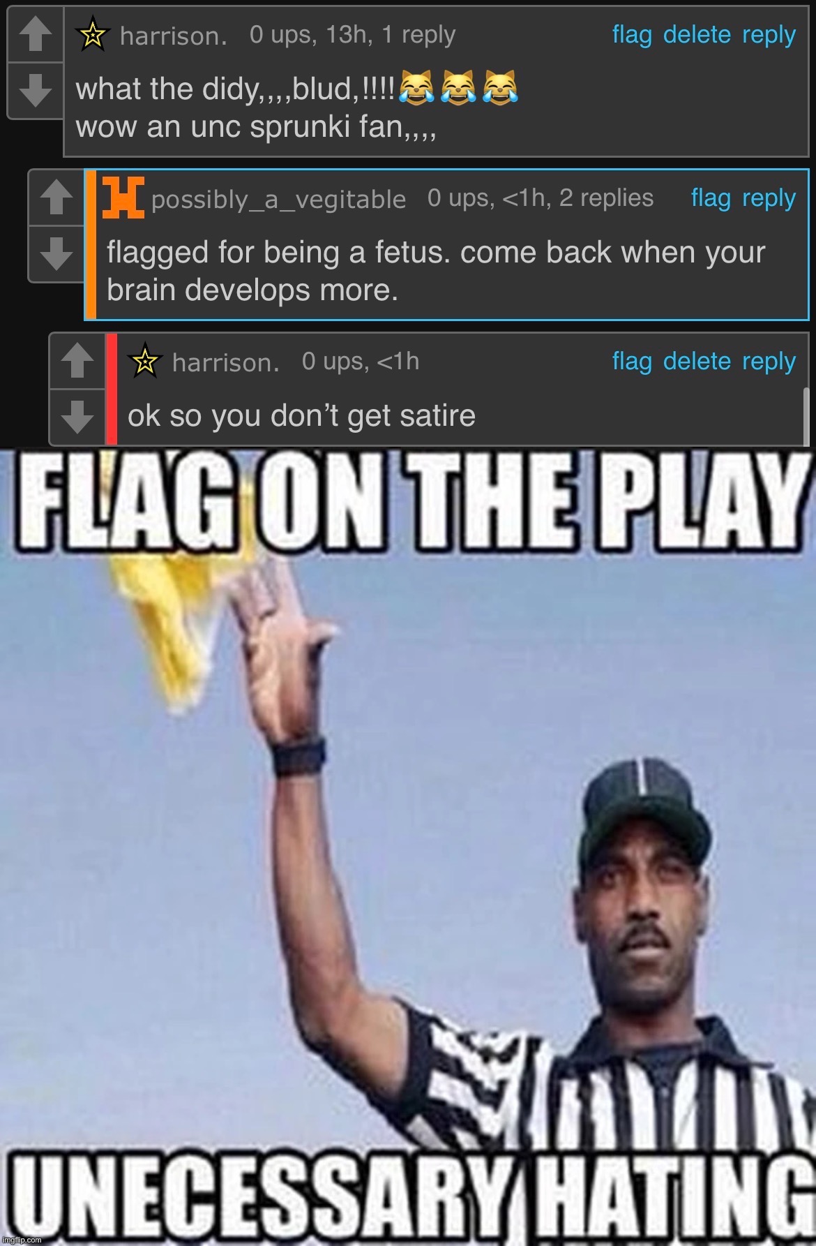 image tagged in flag on the play unnecessary hating | made w/ Imgflip meme maker