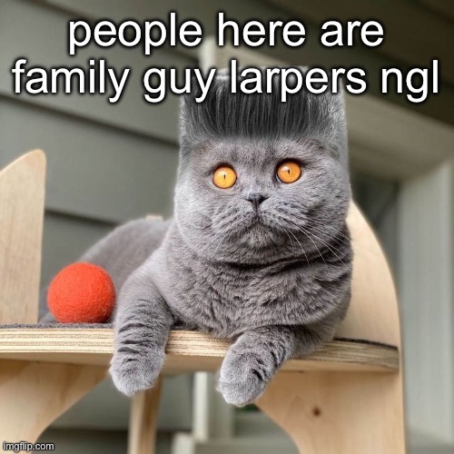 Folk | people here are family guy larpers ngl | image tagged in folk | made w/ Imgflip meme maker