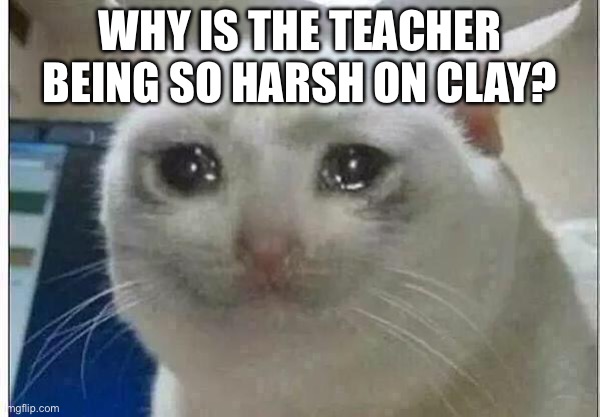 Mod: bc they are being trained to fight | Why is the teacher being so harsh on clay? | image tagged in crying cat | made w/ Imgflip meme maker