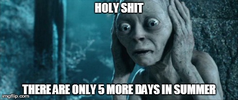 HOLY SHIT THERE ARE ONLY 5 MORE DAYS IN SUMMER | image tagged in gollum | made w/ Imgflip meme maker