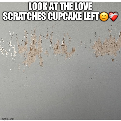 Look at the love scratches cupcake left😊❤️‍🩹 | made w/ Imgflip meme maker