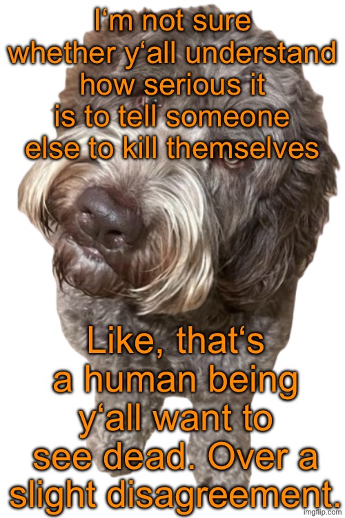 Fucking sociopaths icl | I‘m not sure whether y‘all understand how serious it is to tell someone else to kill themselves; Like, that‘s a human being y‘all want to see dead. Over a slight disagreement. | image tagged in northers dog transparent | made w/ Imgflip meme maker
