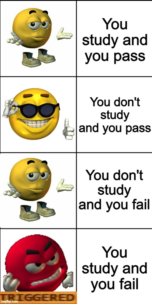 Always be like that | You study and you pass; You don't study and you pass; You don't study and you fail; You study and you fail | image tagged in memes,blank 8 square panel template,funny,exam,grades,relatable | made w/ Imgflip meme maker