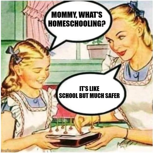 Mommy What Is Blank | Mommy, what's homeschooling? It's like school but much safer | image tagged in mommy what is blank | made w/ Imgflip meme maker