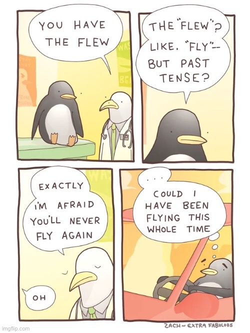 And that’s why penguins can’t fly | image tagged in comics,penguin,flew | made w/ Imgflip meme maker