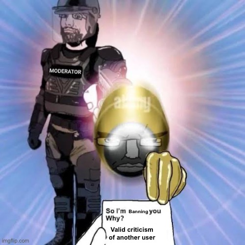 Did I just make a gem | Banning; Valid criticism of another user | made w/ Imgflip meme maker