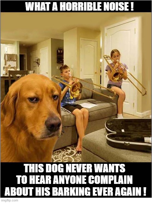 What Is This ? | What A Horrible Noise ! This dog never wants to hear anyone complain
 about his barking ever again ! | image tagged in dogs,horrible,noise,complaints,trombone,barking | made w/ Imgflip meme maker