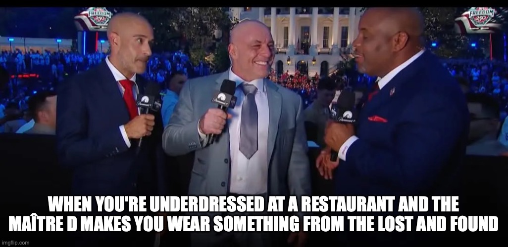 Joe Rogan's Tie | when you're underdressed at a restaurant and the maître d makes you wear something from the lost and found | image tagged in rogan,ufc,steroids,thumb,maga | made w/ Imgflip meme maker