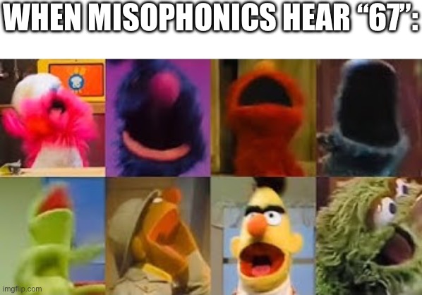 *laughs in 69, 420 and 21* | WHEN MISOPHONICS HEAR “67”: | image tagged in sesame street scream,67,misophonia,brainrot,hearing,tired of your crap | made w/ Imgflip meme maker