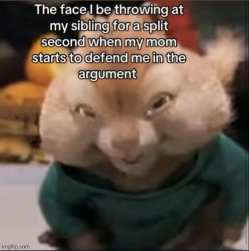 image tagged in img_2763 jpeg | made w/ Imgflip meme maker
