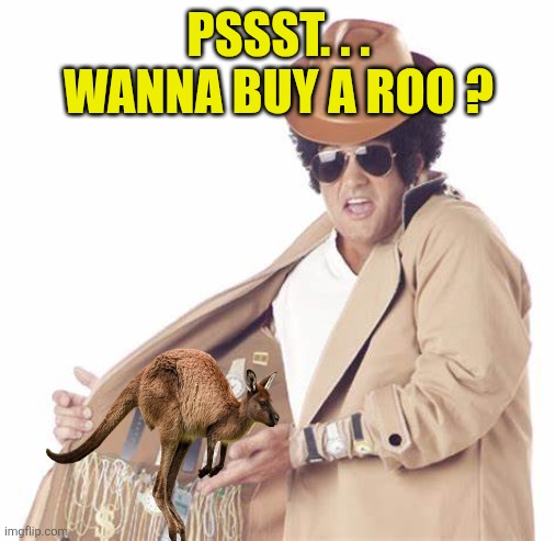 Pssst. . .
Wanna buy a roo ? | image tagged in wanna buy a watch | made w/ Imgflip meme maker