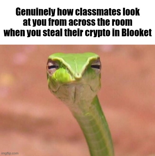Skeptical snake | Genuinely how classmates look at you from across the room when you steal their crypto in Blooket | image tagged in skeptical snake | made w/ Imgflip meme maker