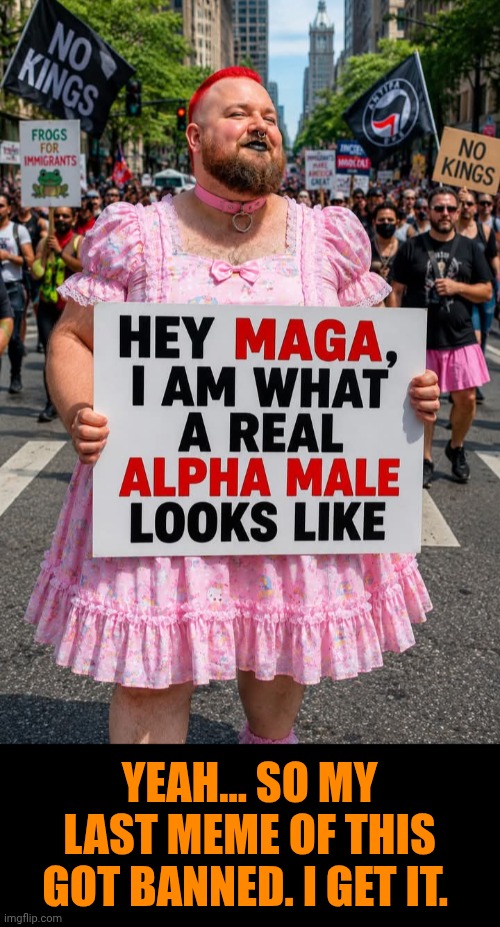 Funny | Yeah... So my last meme of this got banned. I get it. | image tagged in funny,politics | made w/ Imgflip meme maker