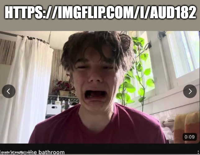 THIS MF MADE THIS | https://imgflip.com/i/aud182 | image tagged in how to use the bathroom | made w/ Imgflip meme maker