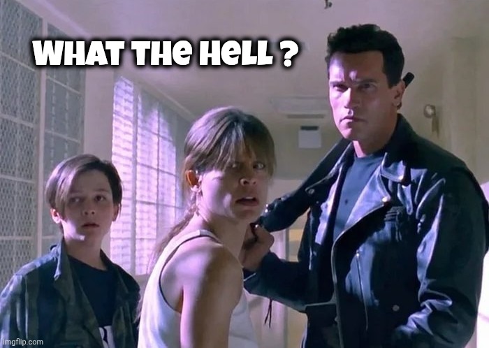 Terminator what ? | What the Hell ? | image tagged in terminator what | made w/ Imgflip meme maker