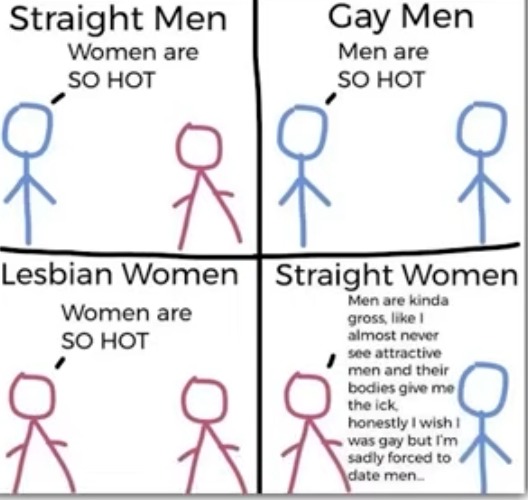 ************SOOOOOOOMEEEEEEE straight women | image tagged in straight,gay,lesbian,men,women,complaining | made w/ Imgflip meme maker