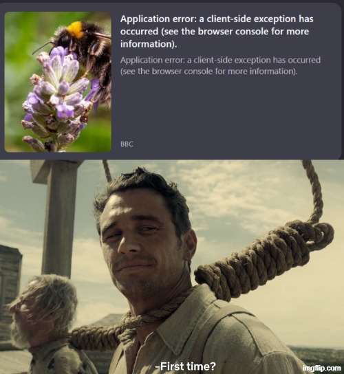 image tagged in why,first time | made w/ Imgflip meme maker