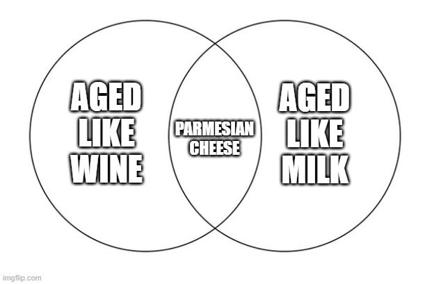 Parmesian Cheese | Parmesian Cheese; Aged like milk; Aged like wine | image tagged in venn diagram,cheese,wine,milk | made w/ Imgflip meme maker