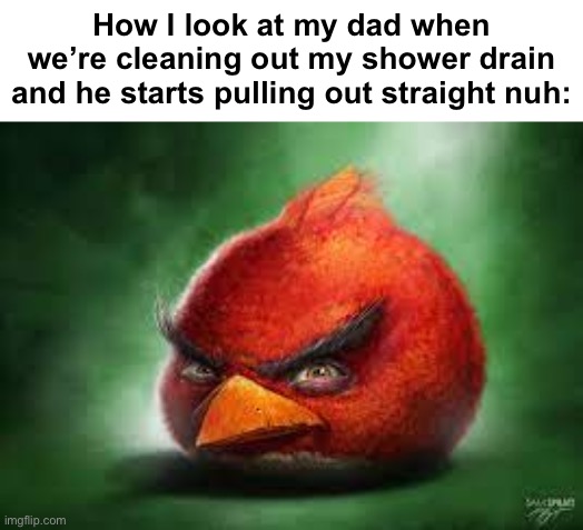 . | How I look at my dad when we’re cleaning out my shower drain and he starts pulling out straight nuh: | made w/ Imgflip meme maker