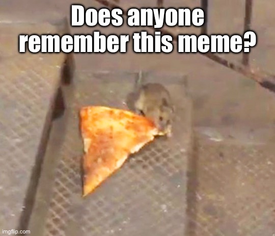 Well I do | Does anyone remember this meme? | image tagged in pizza rat,memes,old | made w/ Imgflip meme maker