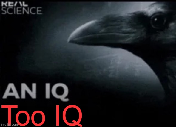 An IQ | Too IQ | image tagged in an iq | made w/ Imgflip meme maker