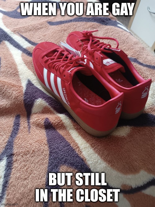 724242349_36470386882577156_107204855162660547_n.jpg | when you are gay; but still in the closet | image tagged in 724242349_36470386882577156_107204855162660547_n jpg | made w/ Imgflip meme maker