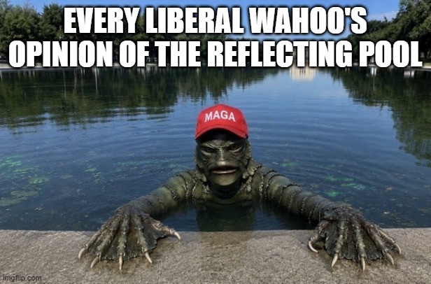 It's  Swamp Out There | every liberal wahoo's opinion of the reflecting pool | image tagged in politics,trump | made w/ Imgflip meme maker