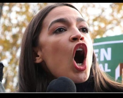 AOC mouth wide open Blank Meme Template