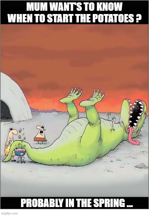 Prehistoric Cooking Times Were So Long ! | mum want's to know when to start the potatoes ? probably in the spring ... | image tagged in prehistoric,cavemen,dinosaur,barbecue,cooking | made w/ Imgflip meme maker