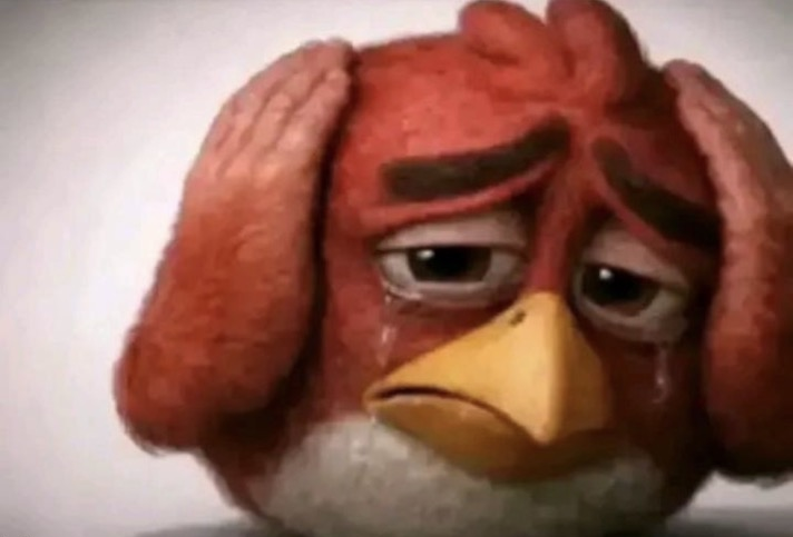 Angry Bird Covering Ears Blank Meme Template