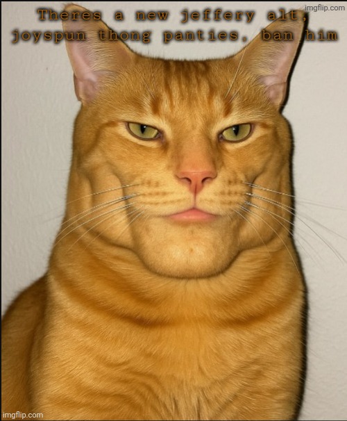 chad cat | Theres a new jeffery alt, joyspun thong panties, ban him | image tagged in chad cat | made w/ Imgflip meme maker