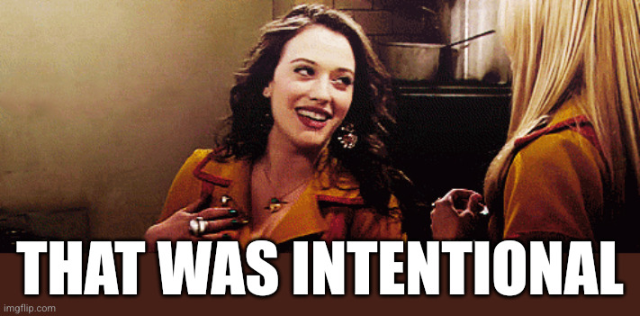 Kat Dennings / Max Black  | That was intentional | image tagged in kat dennings / max black | made w/ Imgflip meme maker