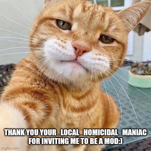 Thanks so much:) | Thank you your_local_homicidal_maniac for inviting me to be a mod:) | image tagged in cat,thank you | made w/ Imgflip meme maker