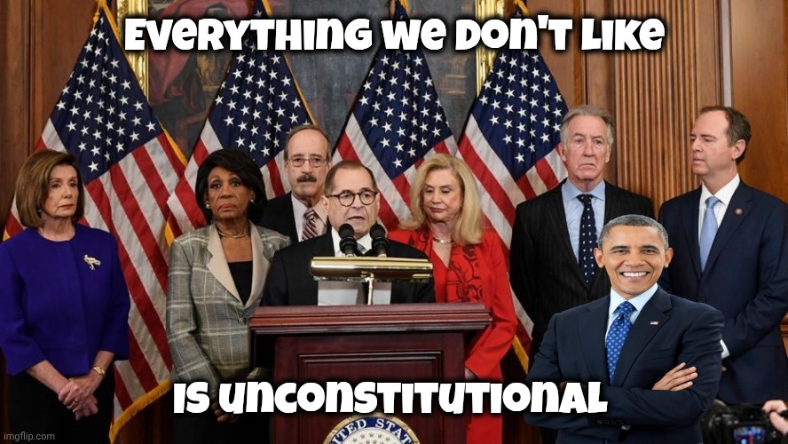 House Democrats | Everything we don't like Is unconstitutional | image tagged in house democrats | made w/ Imgflip meme maker