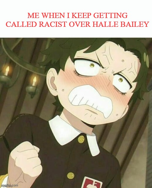 me when i get called racist over halle bailey | me when i keep getting called racist over halle bailey | image tagged in me when blank,halle bailey,the little mermaid,that's racist,pissed off,they hated jesus because he told them the truth | made w/ Imgflip meme maker