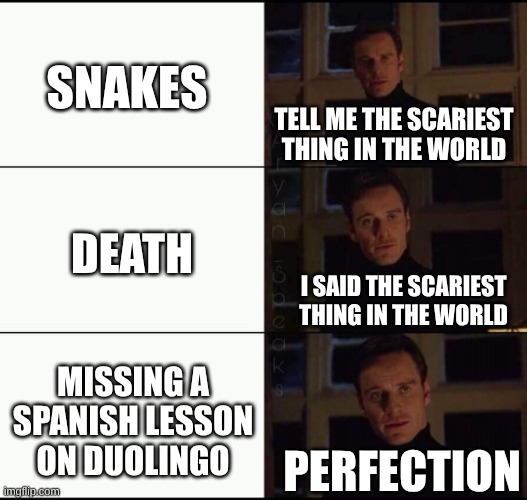 tell me the scariest thing in the world death missing a Spanish lesson on duolingo snakes I said the scariest thing in the world perfection | image tagged in show me the real | made w/ Imgflip meme maker