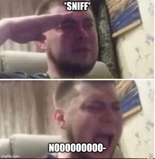 Crying salute | *sniff* NOOOOOOOOO- | image tagged in crying salute | made w/ Imgflip meme maker