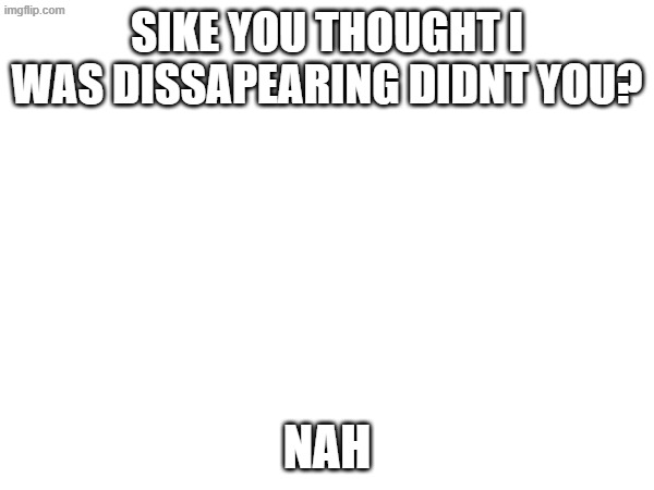 sike you thought i was dissapearing didnt you? nah | image tagged in fah | made w/ Imgflip meme maker