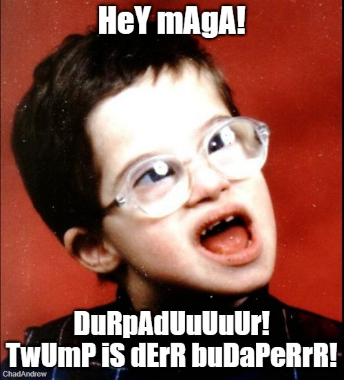 HeY mAgA! DuRpAdUuUuUr! TwUmP iS dErR buDaPeRrR! | image tagged in retard | made w/ Imgflip meme maker