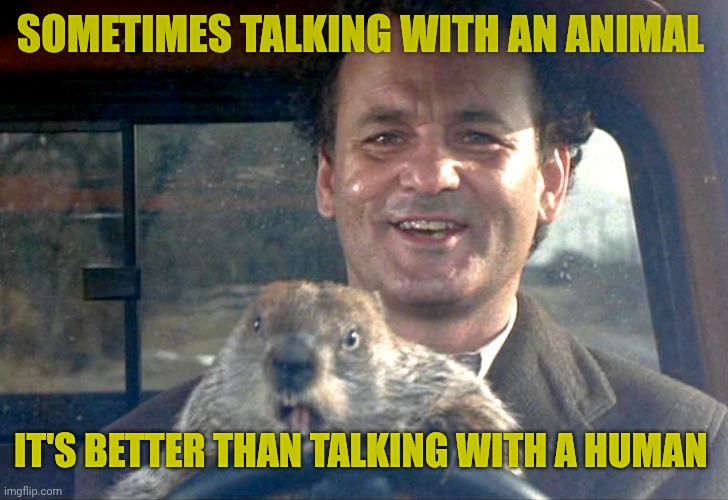 Ground Hog Day Bill Murray | Sometimes talking with an animal; It's better than talking with a human | image tagged in ground hog day bill murray | made w/ Imgflip meme maker