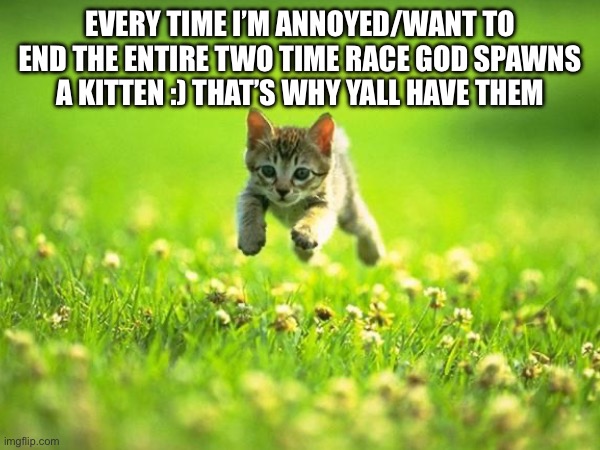 mod: i guess this is alowed | Every time I’m annoyed/want to end the entire two time race god spawns a kitten :) that’s why yall have them | made w/ Imgflip meme maker