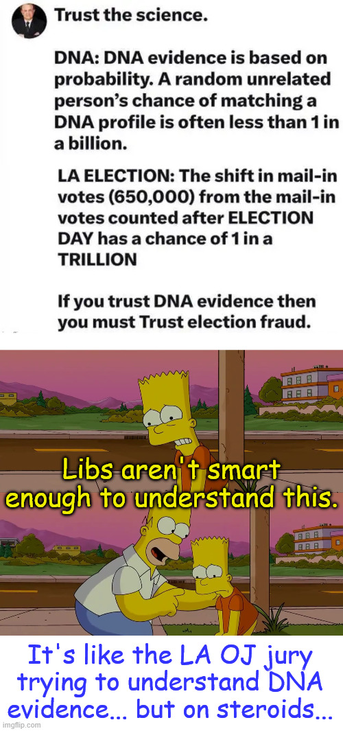 Trust the science | Libs aren't smart enough to understand this. It's like the LA OJ jury trying to understand DNA evidence... but on steroids... | image tagged in trust the science,it proved election fraud | made w/ Imgflip meme maker