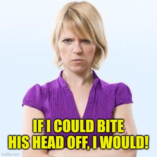 Angry woman | If I could bite his head off, I would! | image tagged in angry woman | made w/ Imgflip meme maker
