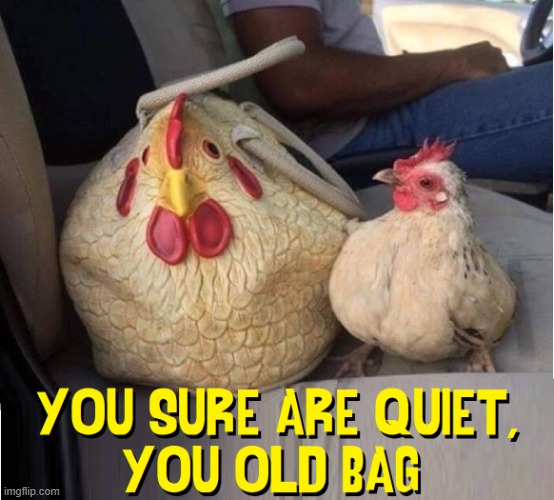 What did the Hen say to the Chicken Purse? | image tagged in vince vance,chickens,chicken,purse,old bag,funky chicken | made w/ Imgflip meme maker