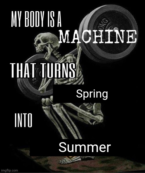 Spring | Spring; Summer | image tagged in my body is machine,spring,summer,memes | made w/ Imgflip meme maker