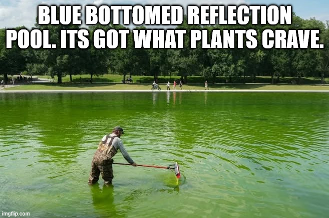 blue bottomed reflection pool. Its got what plants crave. | made w/ Imgflip meme maker