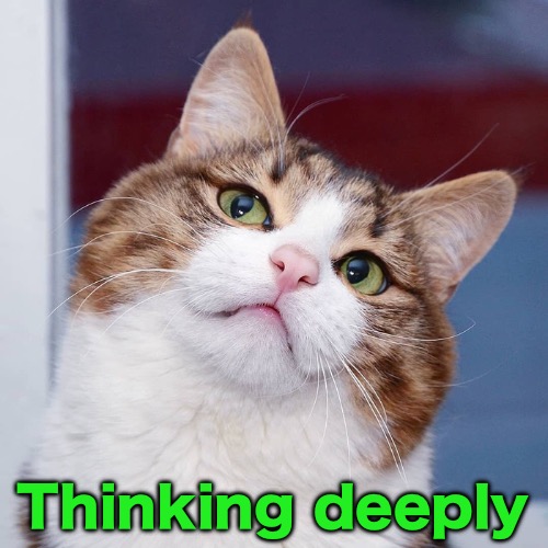 Thinking deeply | made w/ Imgflip meme maker