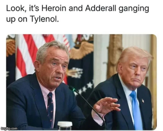 Smackdown Sniffdown | image tagged in maga | made w/ Imgflip meme maker